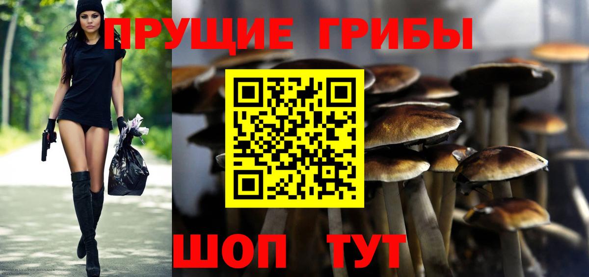 Галлюциногенные грибы Cubensis  Псилоцибиновые грибы MAGIC MUSHROOMS  продажа наркотиков  Кувандык  Вход с VPN 